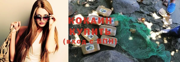 прущий лед Болотное