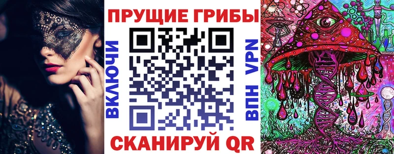 Псилоцибиновые грибы Psilocybe  mega зеркало  Болхов 